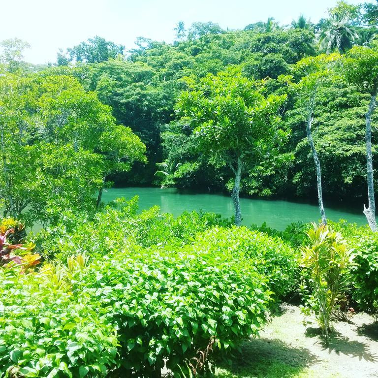 Salt Lake Lodge Savusavu Room photo
